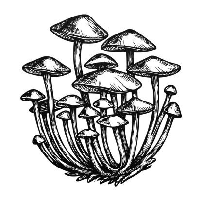 nature inspired metal decor