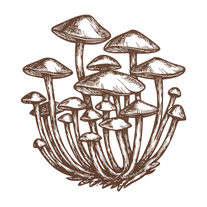 Mushroom_Metal_Wall_Decor_Nature_Inspire_Copper_Transparent_Mockup.png_15421743