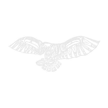 Native American Wall decor