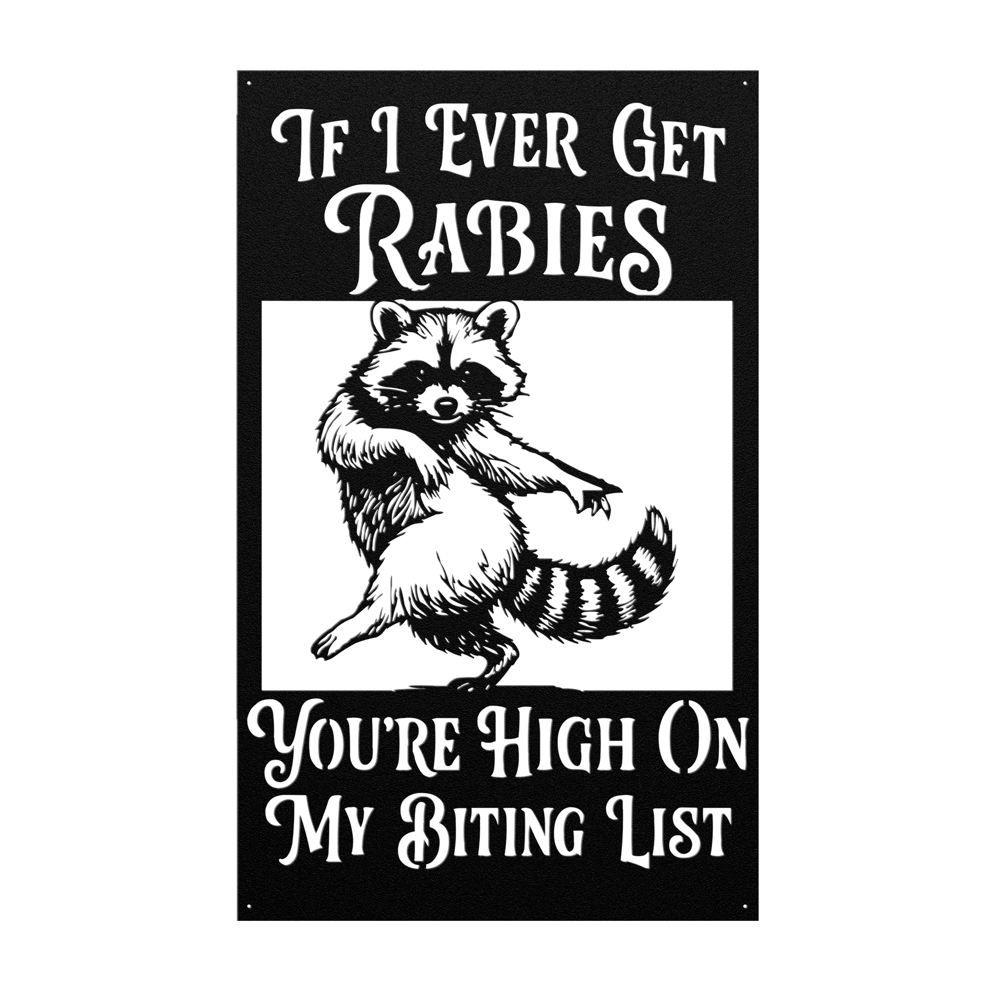 funny raccoon wall art